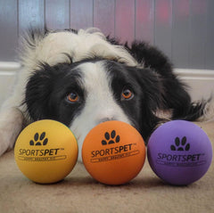 Sportspet ball dog toy glow in the dark dog ball ball dogs tennis high bounce ball bouncy bouncy ball dog high bounce rubber ball