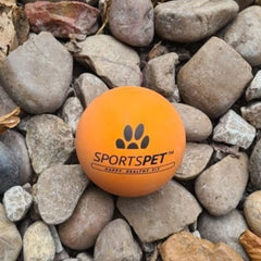 Sportspet ball dog toy glow in the dark dog ball ball dogs tennis high bounce ball bouncy bouncy ball dog high bounce rubber ball