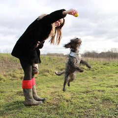 Sportspet ball dog toy glow in the dark dog ball ball dogs tennis high bounce ball bouncy bouncy ball dog high bounce rubber ball