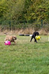 Soccer Ball with Grab Tabs - Small
