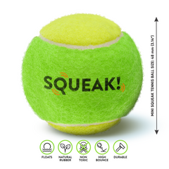 Mini Squeak Tennis Ball - 4pk