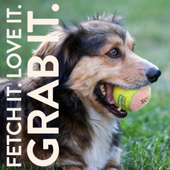 Tennis Balls Squeak - 3pk