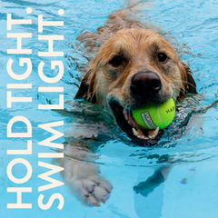 Tennis Ball - 12pk
