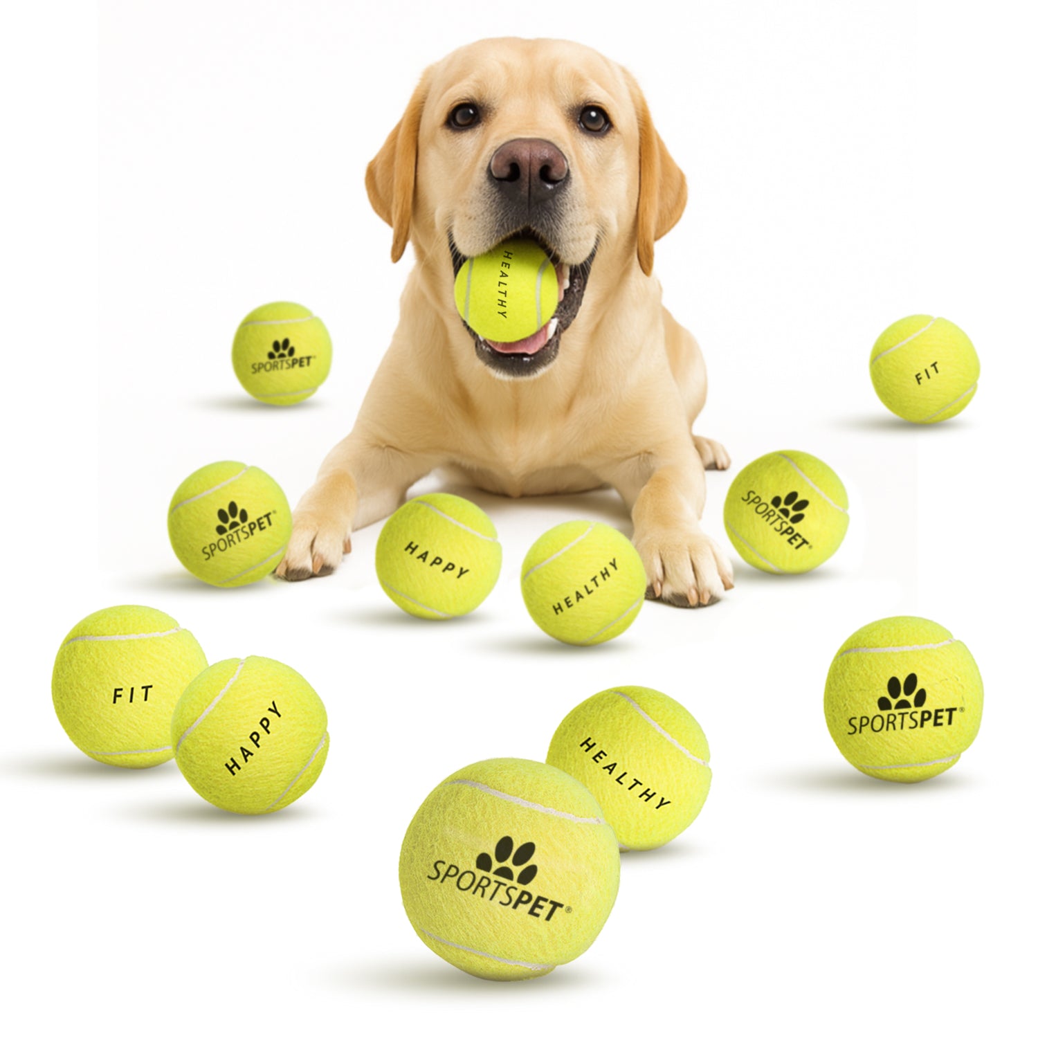 Tennis Ball - 12pk