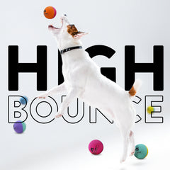 High Bounce Natural Rubber Bounce Balls - 6pk