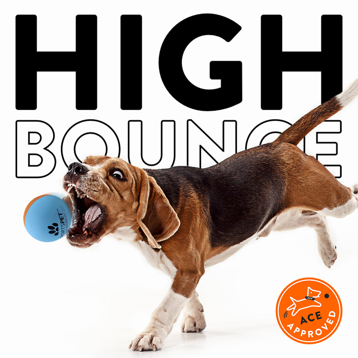 High Bounce Natural Rubber Bounce Balls - 6pk