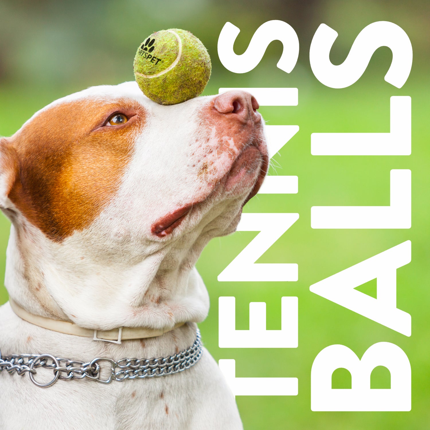 Tennis Ball - 12pk