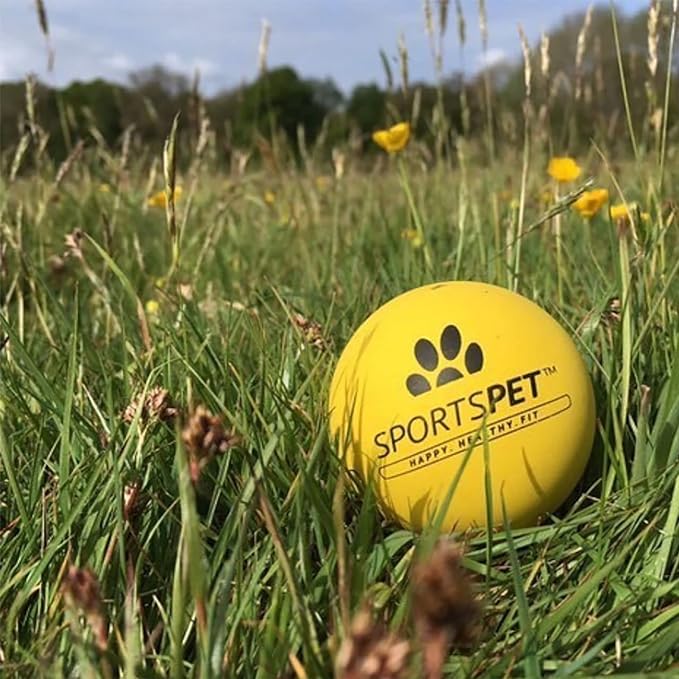 Sportspet ball dog  toy glow in the dark dog ball ball dogs tennis high bounce ball bouncy bouncy ball dog high bounce rubber ball