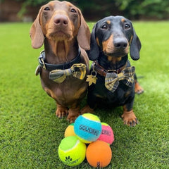 Sportspet ball dog  toy glow in the dark dog ball ball dogs tennis high bounce ball bouncy bouncy ball dog high bounce rubber ball