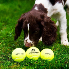 Sportspet ball dog  toy glow in the dark dog ball ball dogs tennis high bounce ball bouncy bouncy ball dog high bounce rubber ball