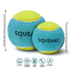 Mini Squeak Tennis Ball - 4pk