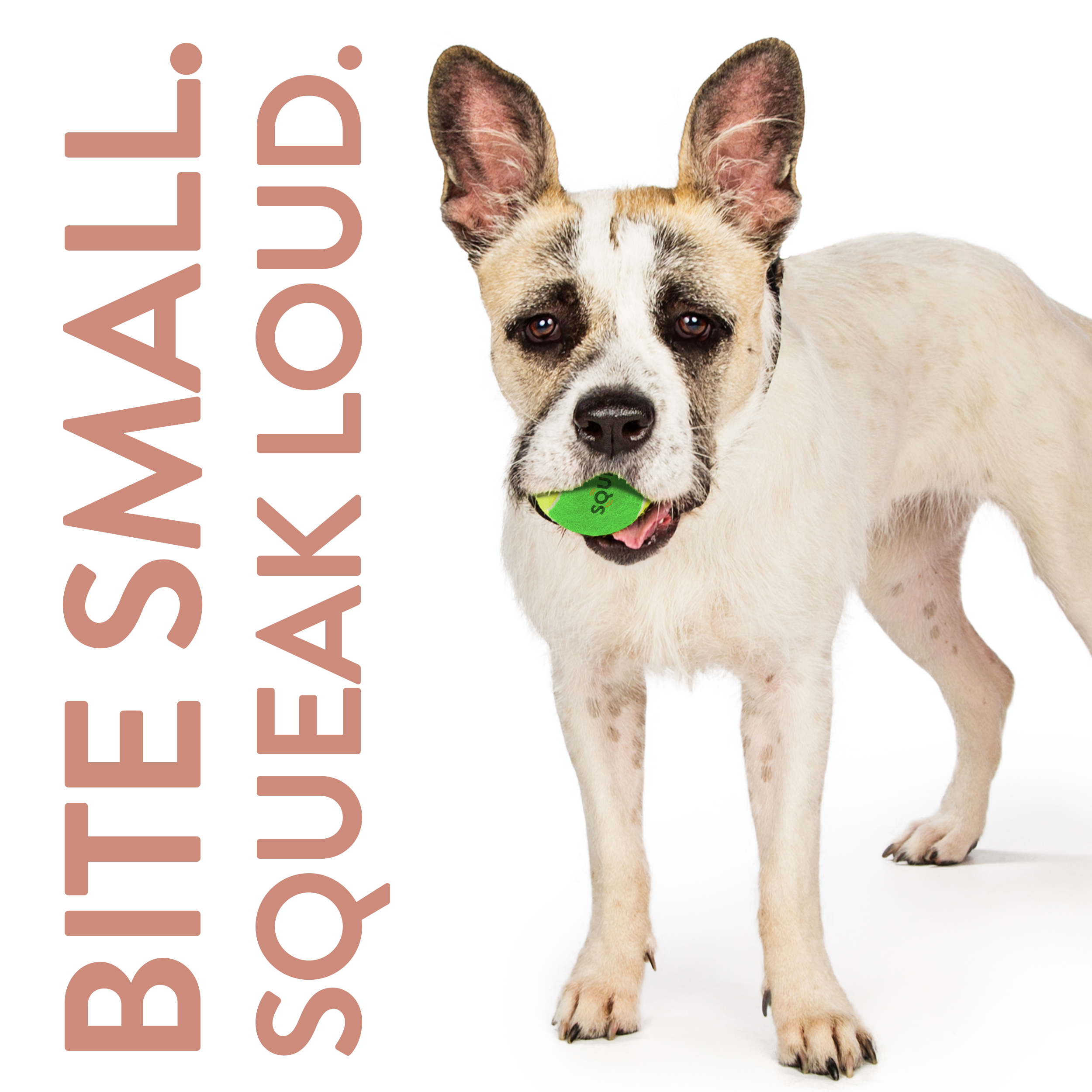 Mini Squeak Tennis Ball - 4pk