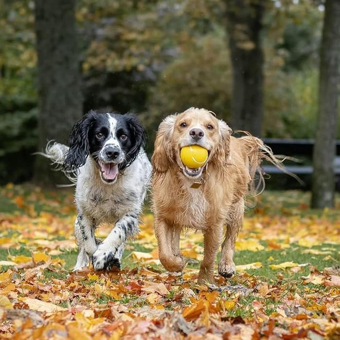 High Bounce Tennis balls 3pack