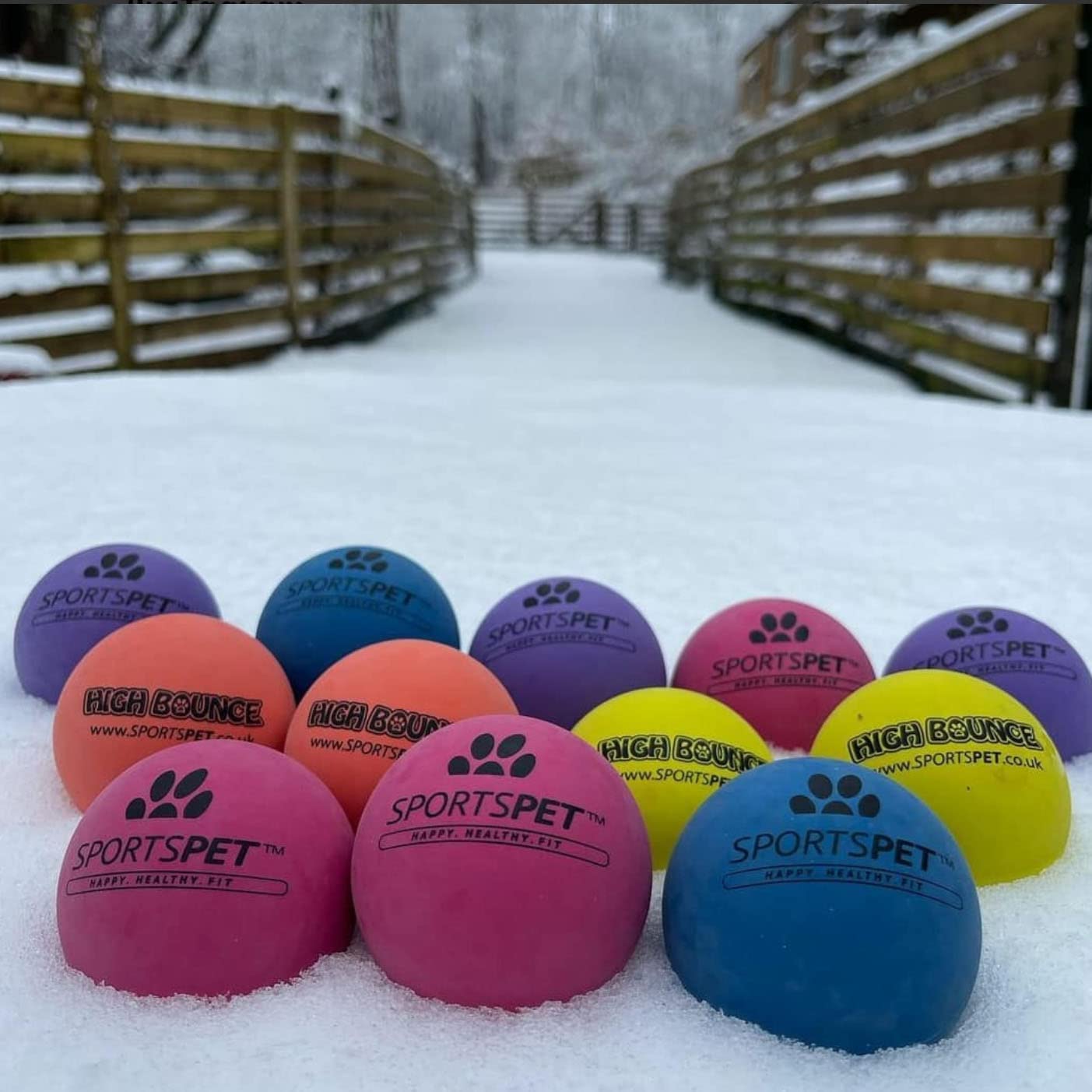 Sportspet ball dog  toy glow in the dark dog ball ball dogs tennis high bounce ball bouncy bouncy ball dog high bounce rubber ball